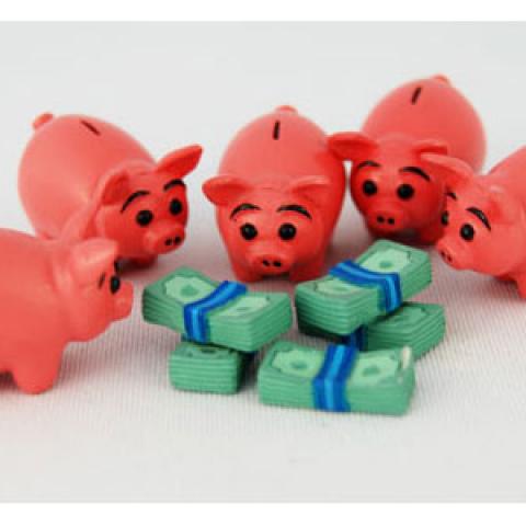 Money Hungry Pigs eating money