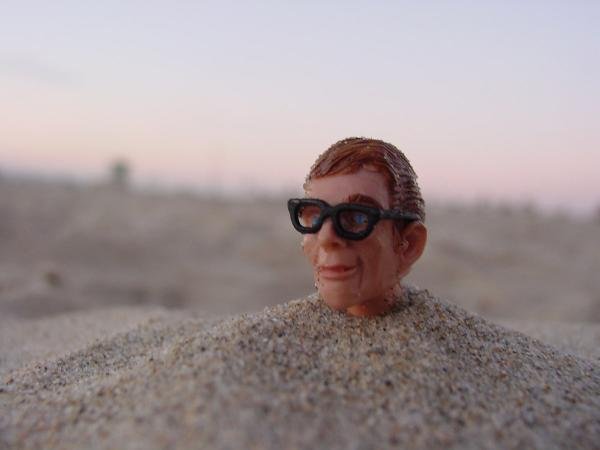 GeekMan Buried on the Beach